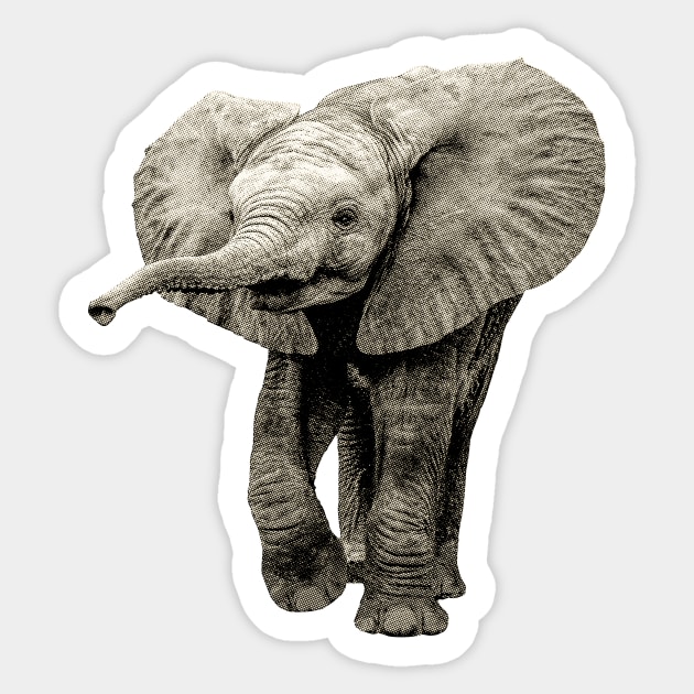 Cute Baby Elephant Picture Sticker by scotch